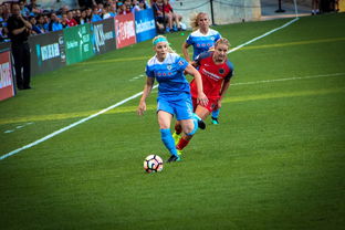 华体会登入-中国篮球职业联赛俱乐部财务风险管理，篮球俱乐部财务制度