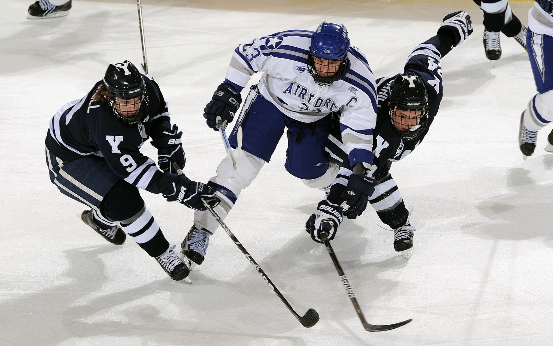 女子200蝶划水效率趋势：中选手更稳健，女子200m蝶泳决赛